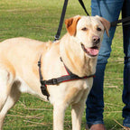 trixie Arnés Guía Lead'n'Walk Soft
