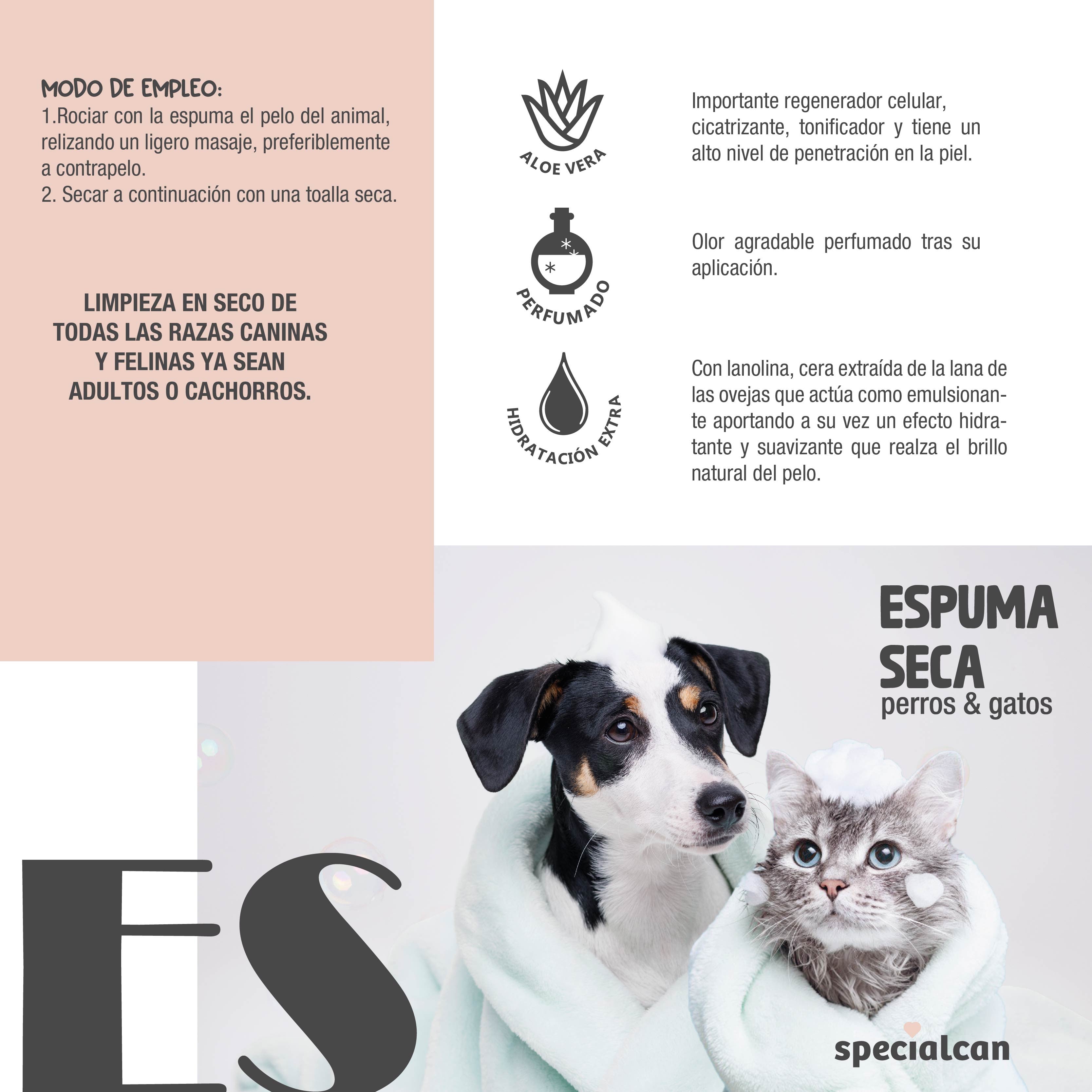 Specialcan Champú en seco perros y gatos