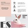 Specialcan espuma seca para roedores