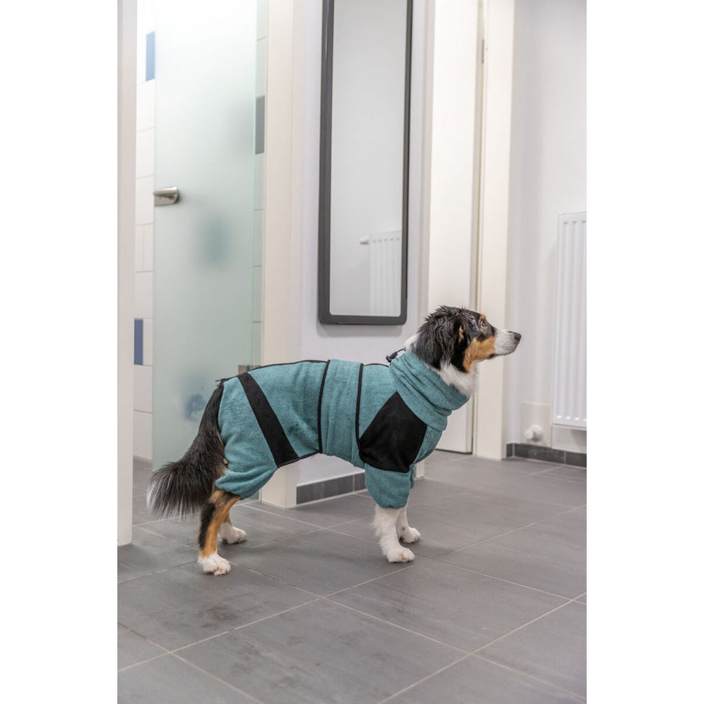 Albornoz y Mono de Hogar para perros