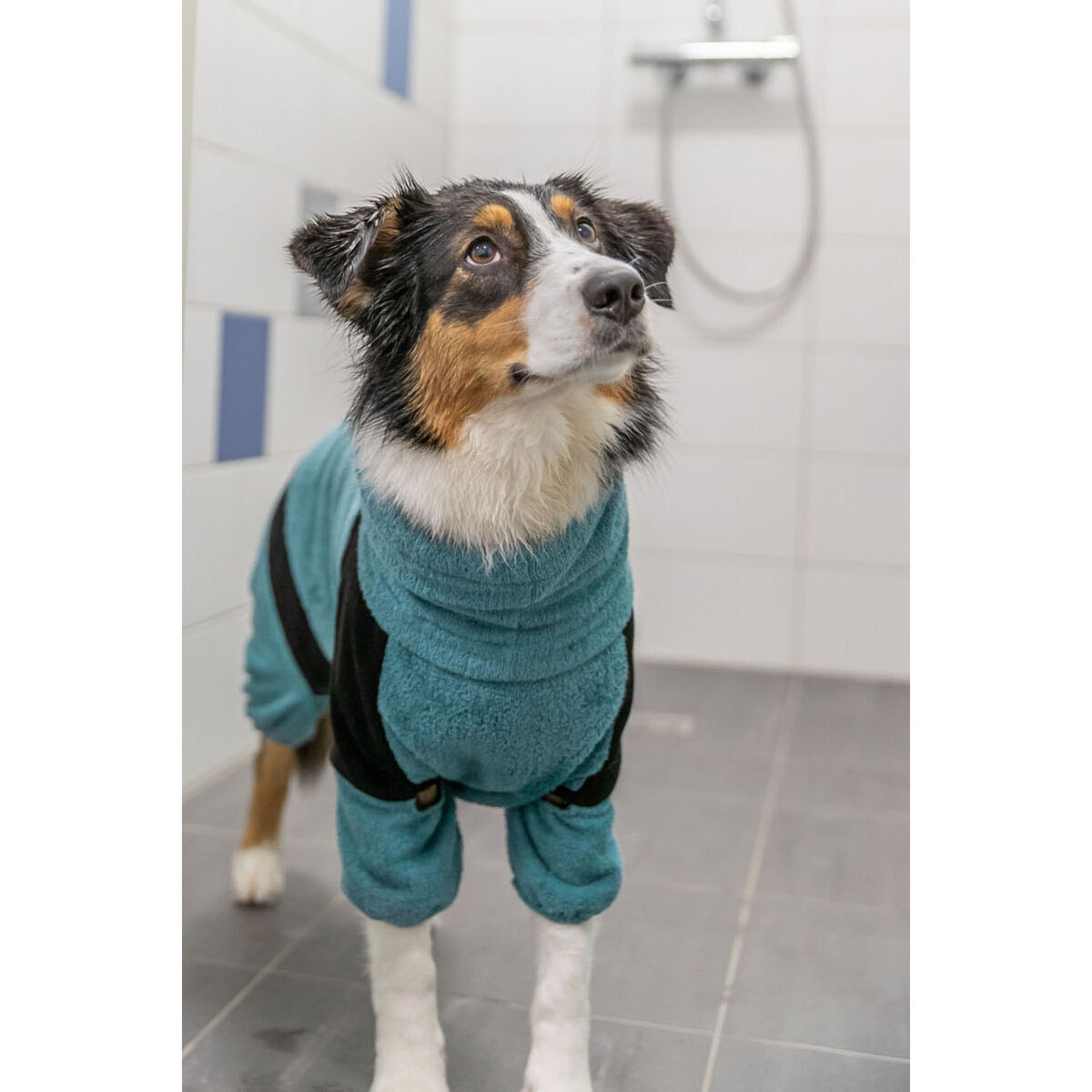 Albornoz y Mono de Hogar para perros