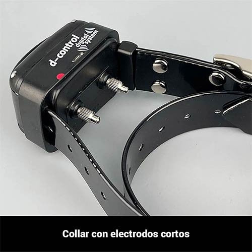 Collar Educativo para perros Dogtrace 400