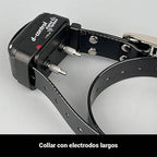 Collar Educativo Dogtrace 200 EASY