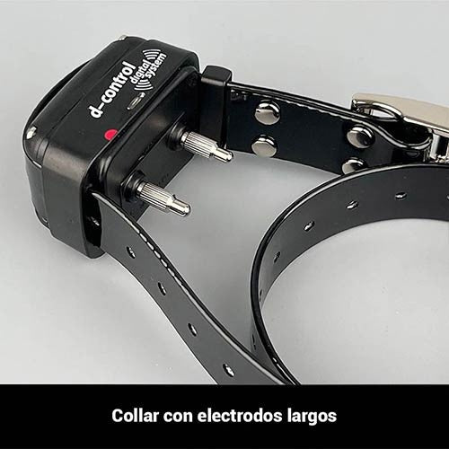 Collar Educativo Dogtrace 200 EASY