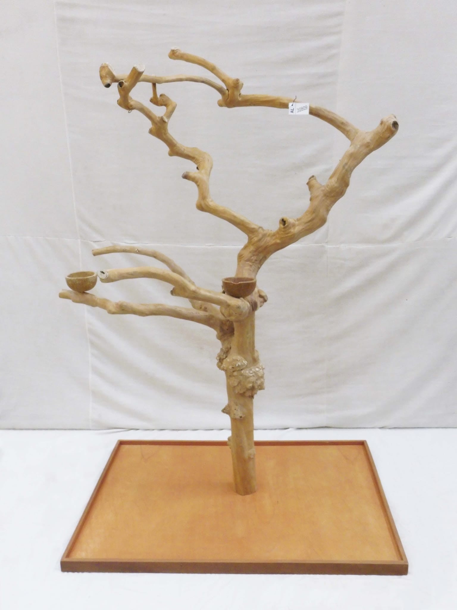 Java Tree BM