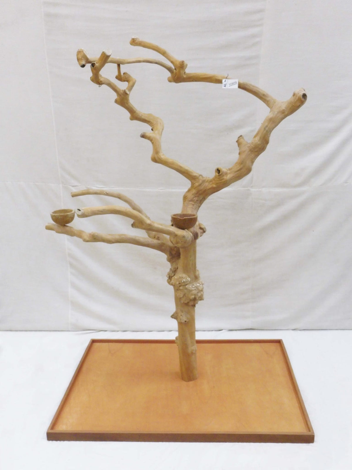 Java Tree BL New