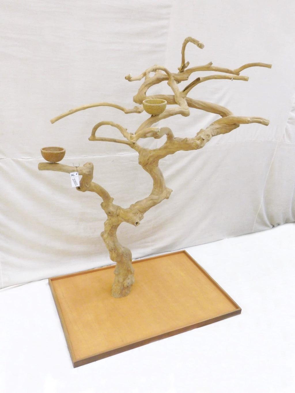 Java Tree BL New