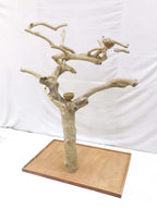 Java Tree BL New