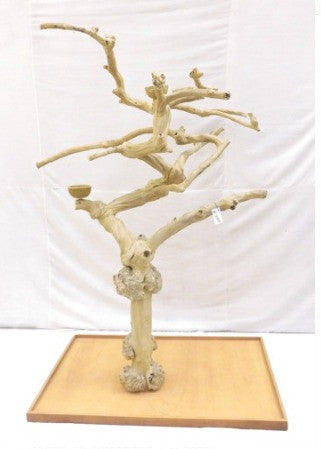 Java Tree BL New