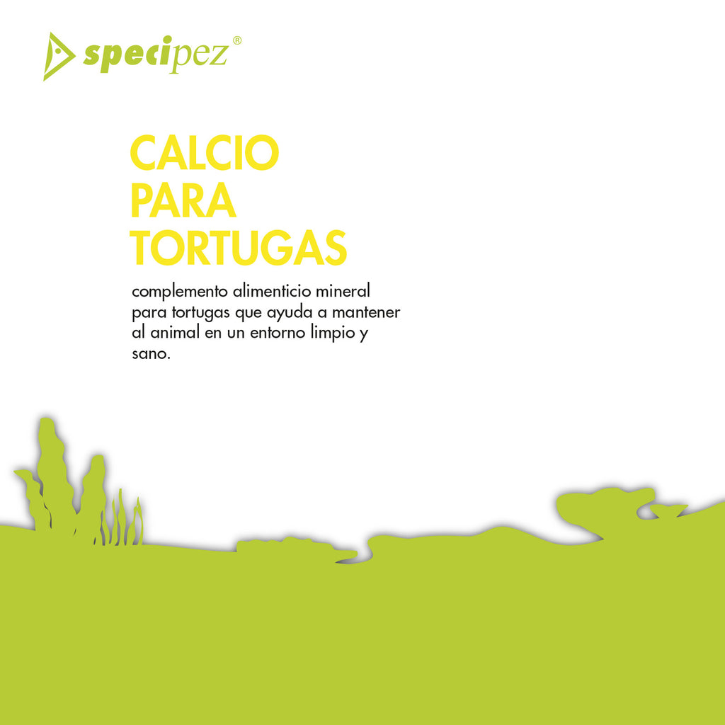 SPECIPEZ CALCIO TORTUGAS BACTERICIDA