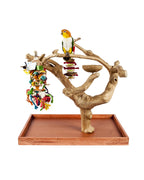 Java Mini Tree Small