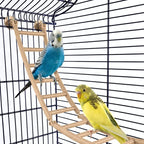 Jaula Sofía para pájaros IMAC con pie y ruedas