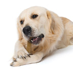 Hueso mordedor con aroma para perro Zeus Nosh Strong 15cm