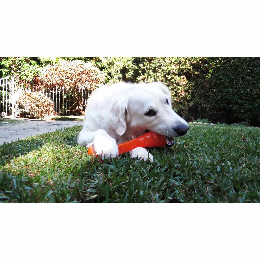 BIONIC Urban Stick, S, 20cm