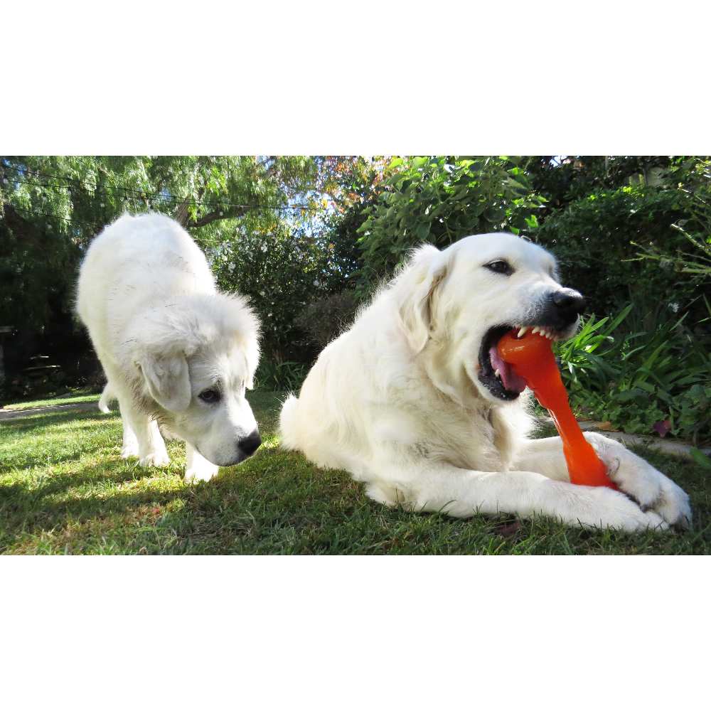 BIONIC Urban Stick, M., 23cm