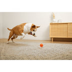 BIONIC Pelota, M 6.7cm