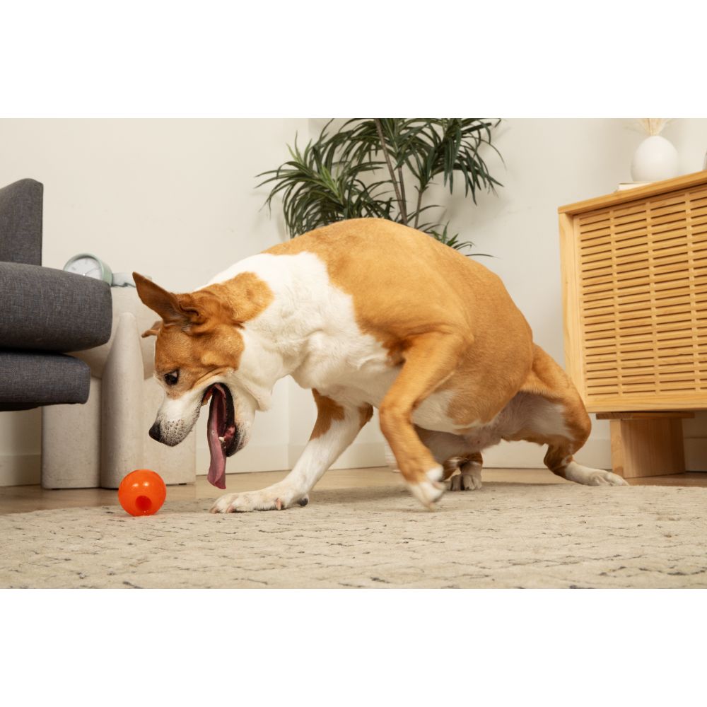 BIONIC Pelota, S 5.8cm