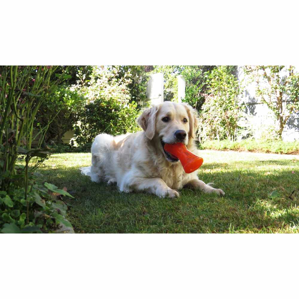 BIONIC Hueso, M12cm