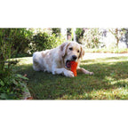 BIONIC Hueso, M12cm