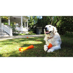 BIONIC Hueso, L15cm