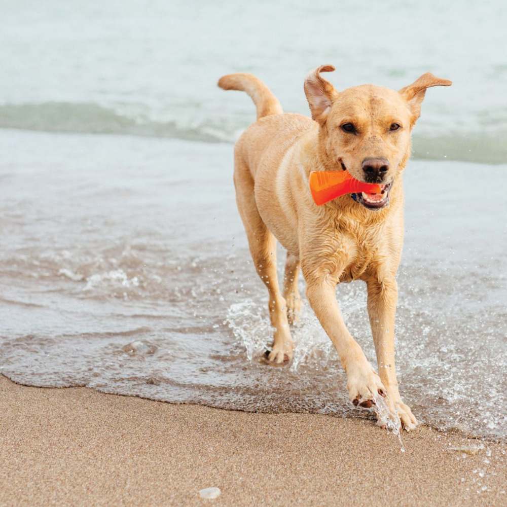 BIONIC Hueso, S 9.5cm