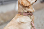 Pure Collar, Piel extra ancho, rosa