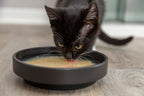 Kittis Shrimp Soup