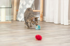 Pelota con Sonajero
