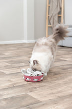 Cat Activity Hide'n'Sniff Bowl