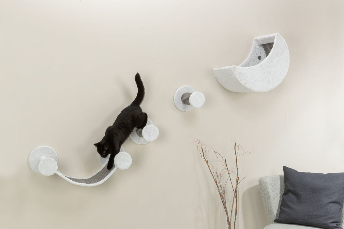 Set de pared