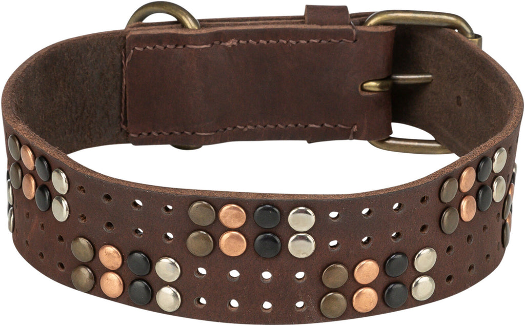 Rustic Collar de piel engrasada Remaches, extra ancho