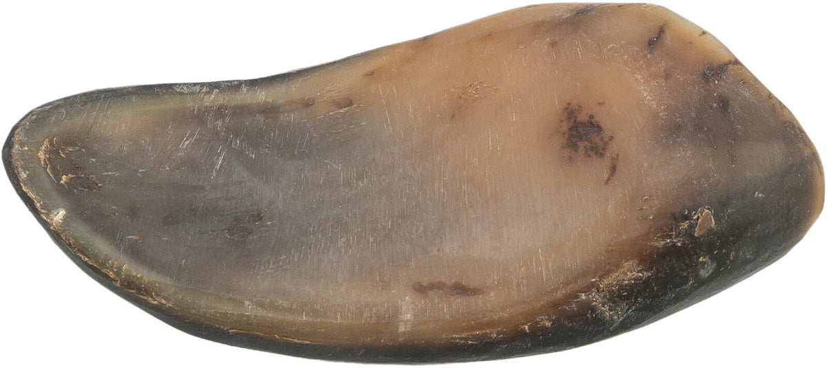 Cuerno de búfalo