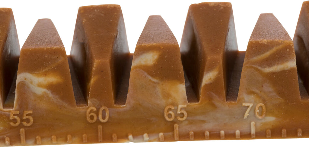 Denta Fun Veggie Jaw Bone