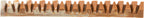 Denta Fun Veggie Jaw Bone