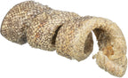 Denta Fun Curl con bacalo