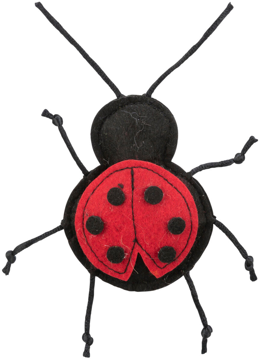 Insectos