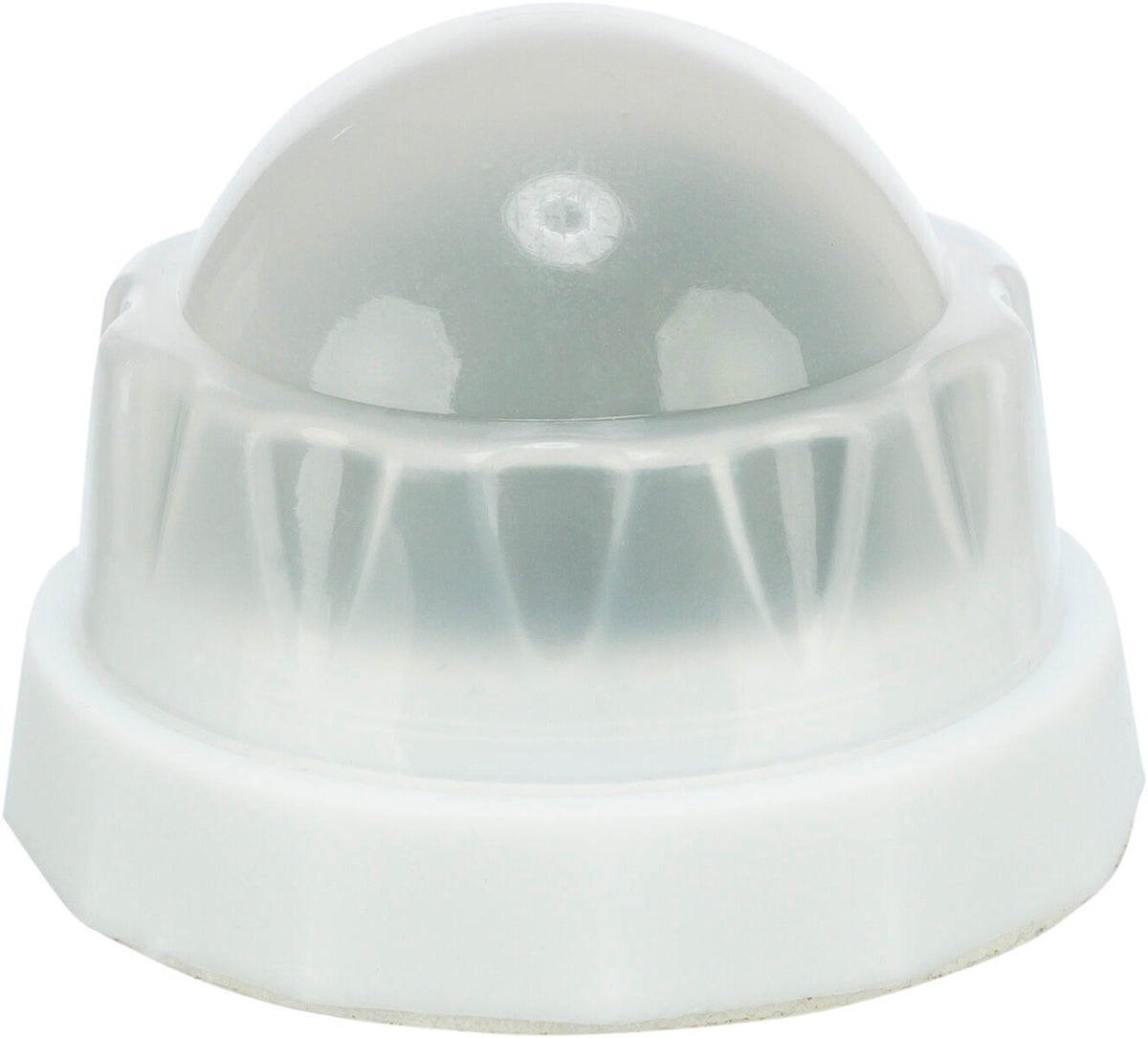 Pelota Catnip con soporte