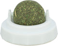 Pelota Catnip con soporte