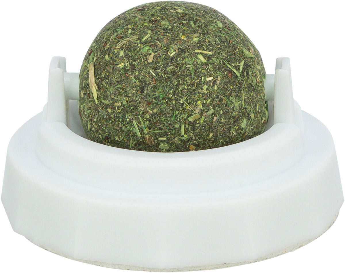 Pelota Catnip con soporte