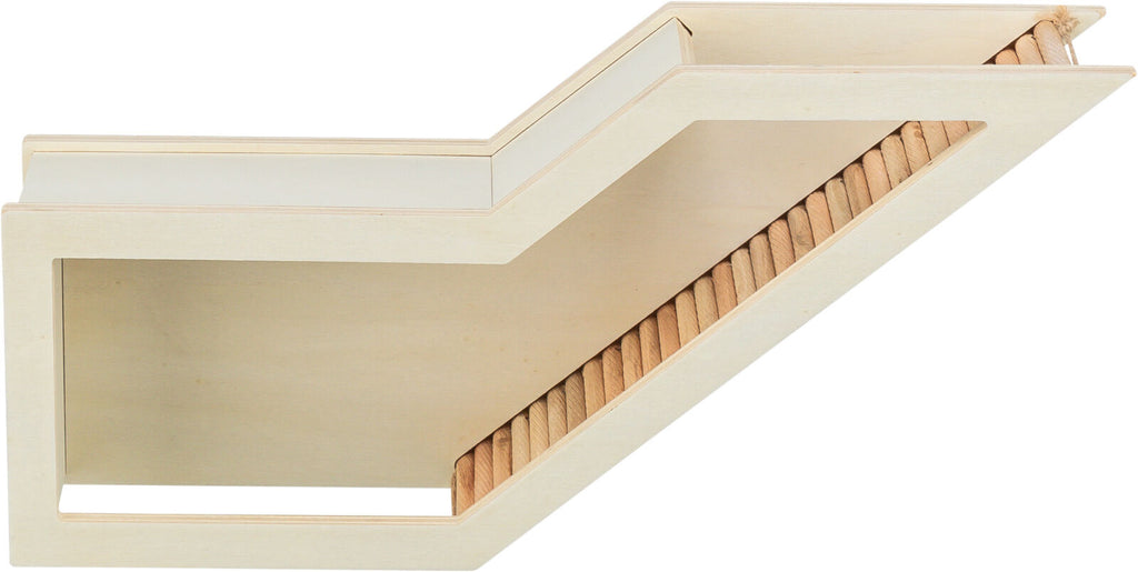 Caja de observación