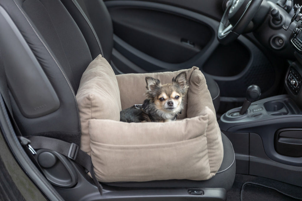 Asiento para Coche