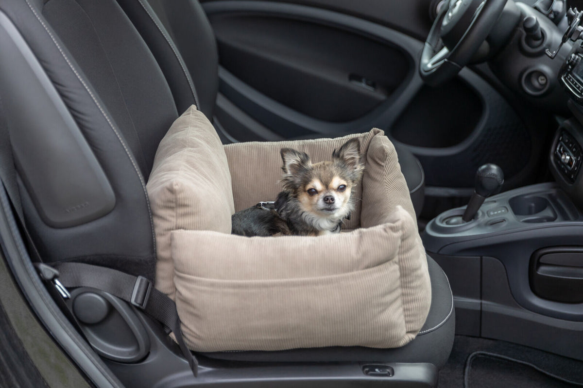 Asiento para Coche