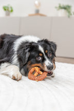 Denta Fun Pretzels de Pato