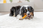 Lolly con pechuga de pollo y zanahoria