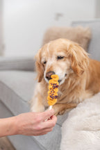 Lolly con pechuga de pollo y arándano