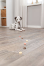 Cookie Snack Loops