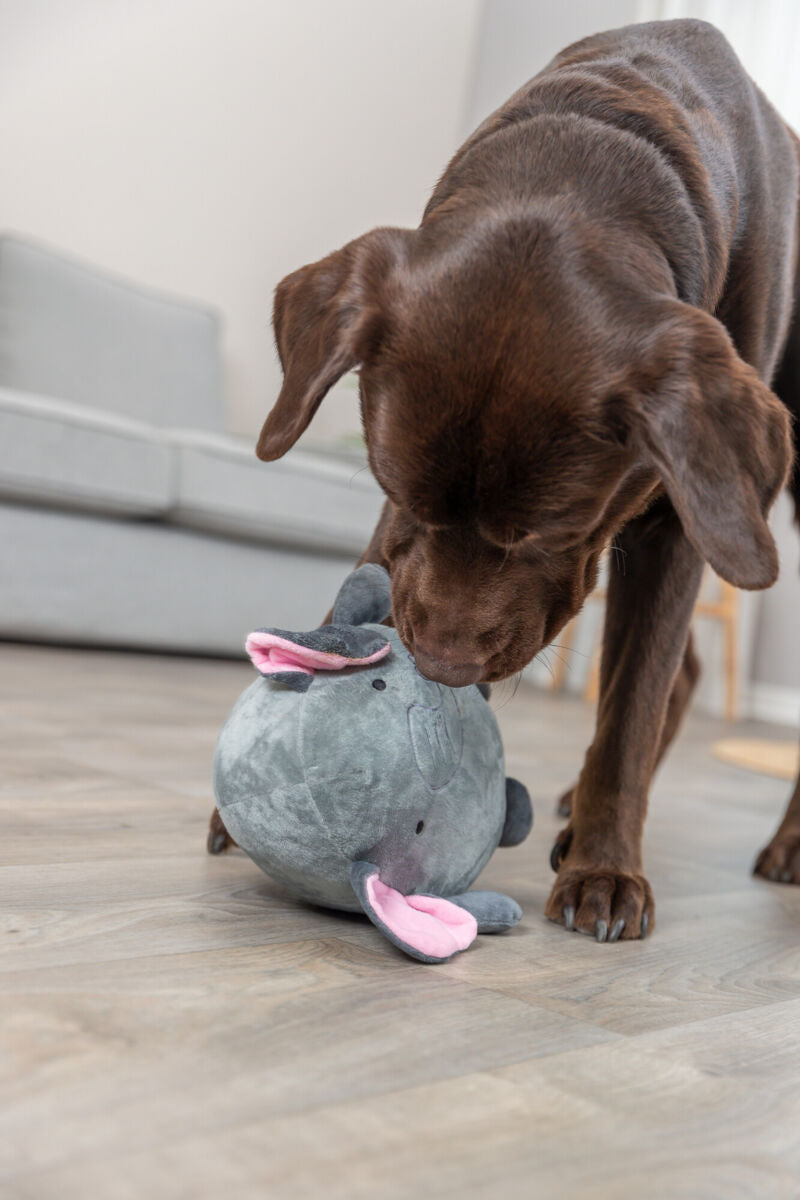 Elefante