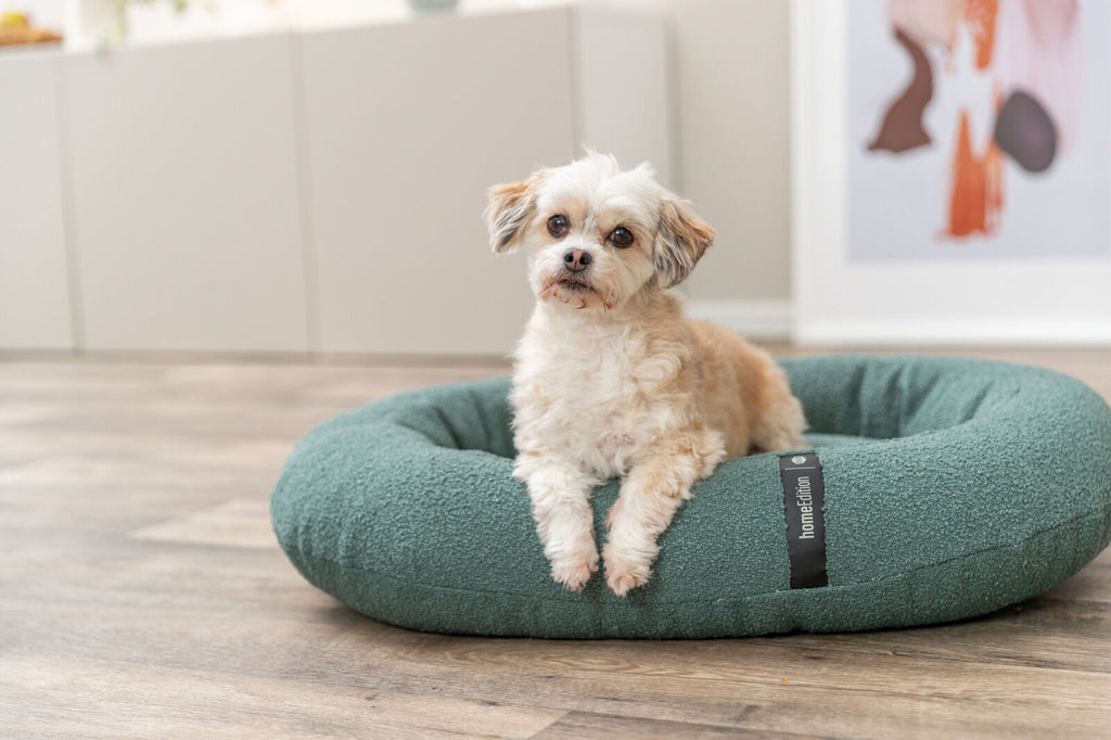 Cama Vital CityStyle, verde oscuro