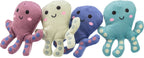 Pulpo