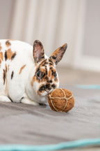Bola de coco